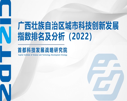 骚插av【成果发布】广西壮族自治区城市科技创新发展指数排名及分析（2022）